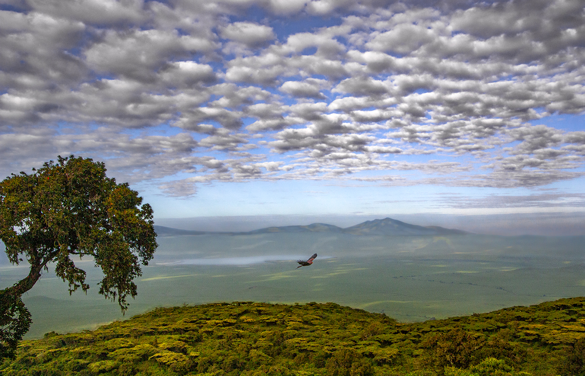 Ngorongoro Crater 3/5
